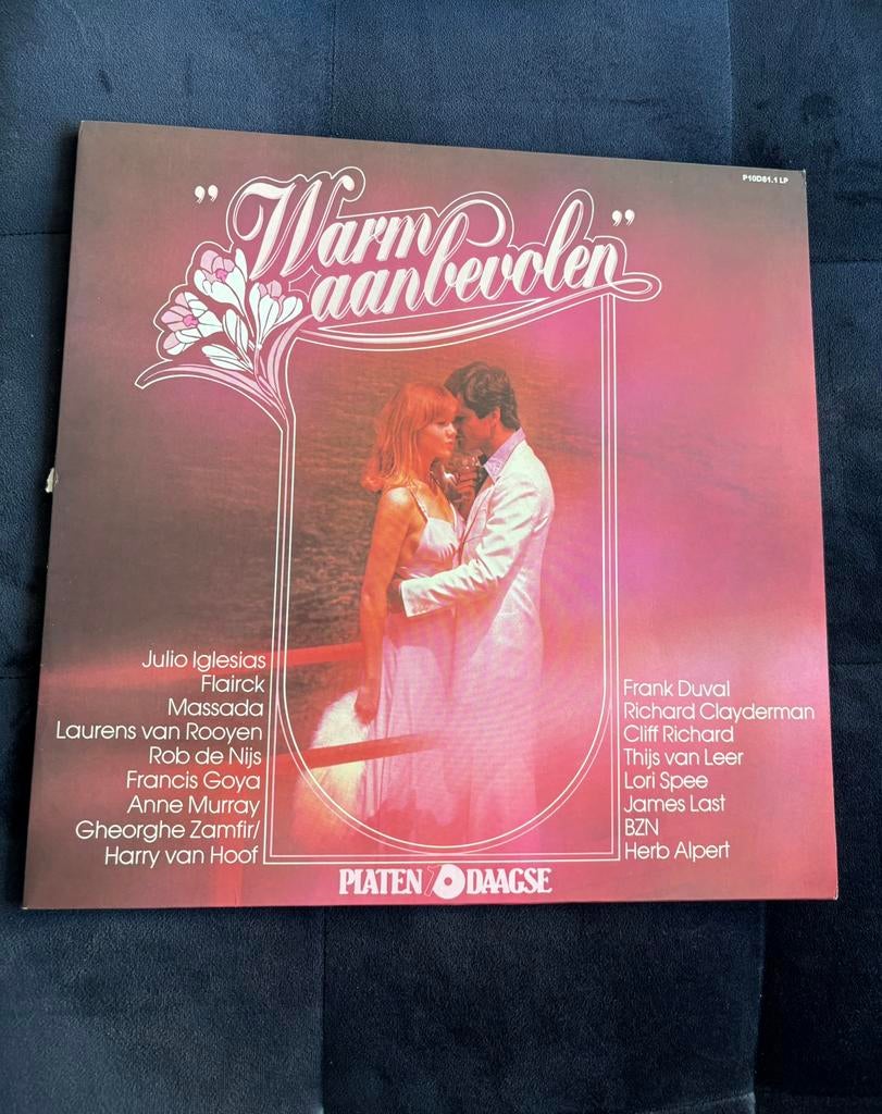 Lp, Warm aanbevolen, Ophalen of Verzenden, Gebruikt, 12 inch, Pop