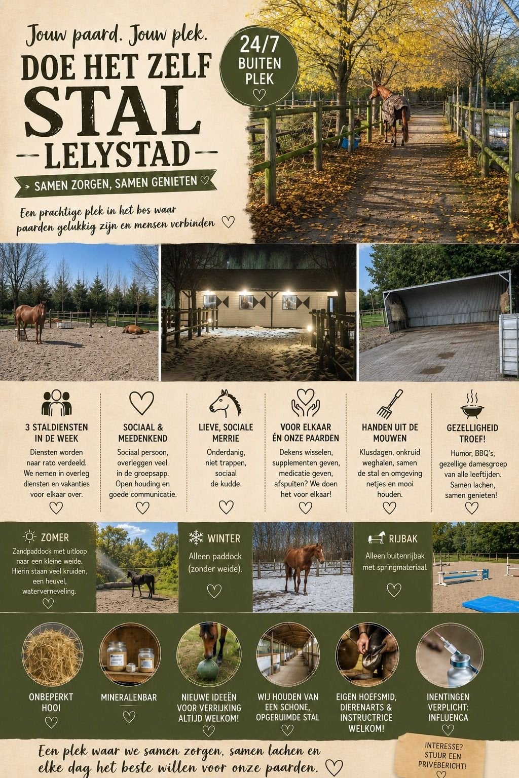 Plekje vrij op onze gezellige stal, Dieren en Toebehoren, Stalling en Weidegang