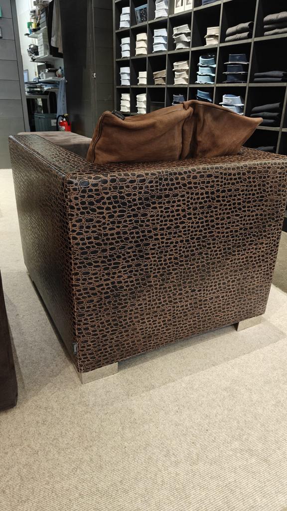 Minotti 2 Bruine fauteuils met krokodillenprint, Ophalen, Gebruikt, Stof, 75 tot 100 cm