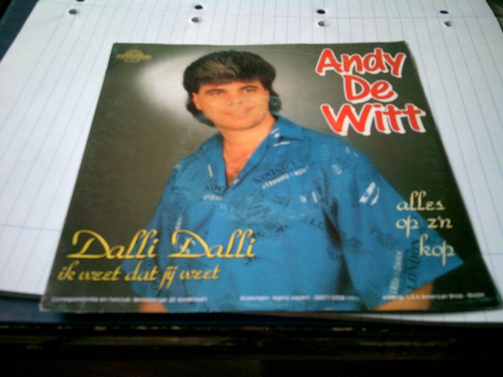 ANDY DE WITT DALLI DALLI - ALLES OP Z ' N KOP, 7 inch, 1980 - 1989, Ophalen of Verzenden, Levenslied of Smartlap