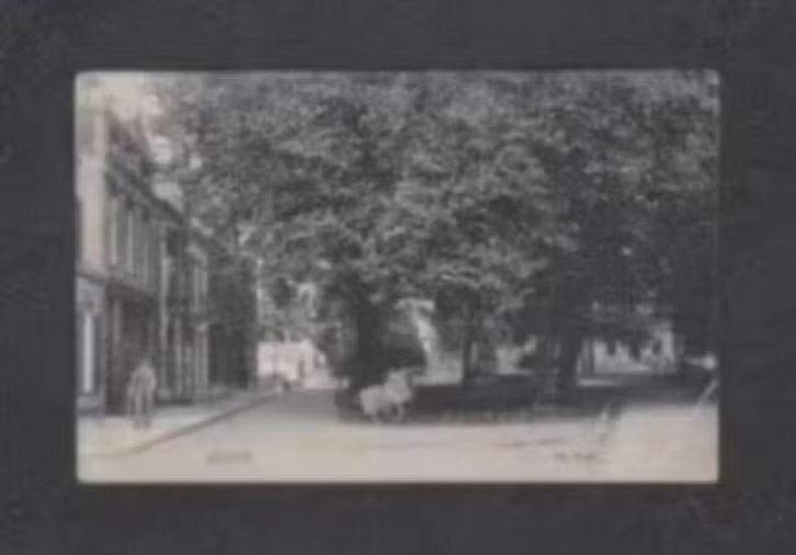 Assen Drenthe De Brink Handkar 1910., Ophalen of Verzenden, Voor 1920, Gelopen, Drenthe
