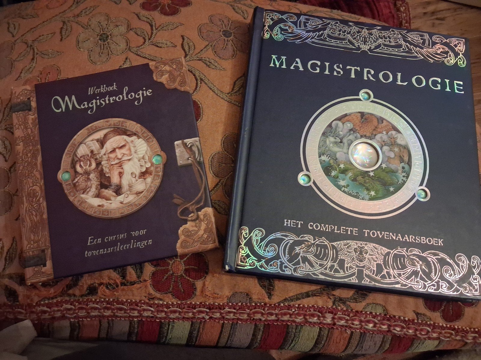 Magistrologie: Het complete tovenaarsboek + werkboek, Dugald A. Steer, Ophalen of Verzenden, Zo goed als nieuw, Fictie