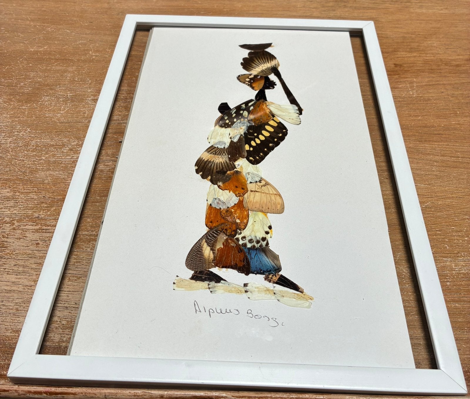 Kunstwerk van vleugels van vlinders, gesigneerd, Afrika, Ophalen of Verzenden, Schilderij, Overige materialen
