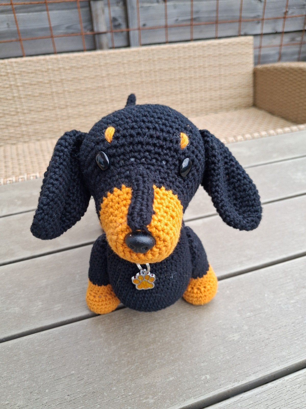 Leuke teckel, Ophalen of Verzenden, Nieuw, Hond