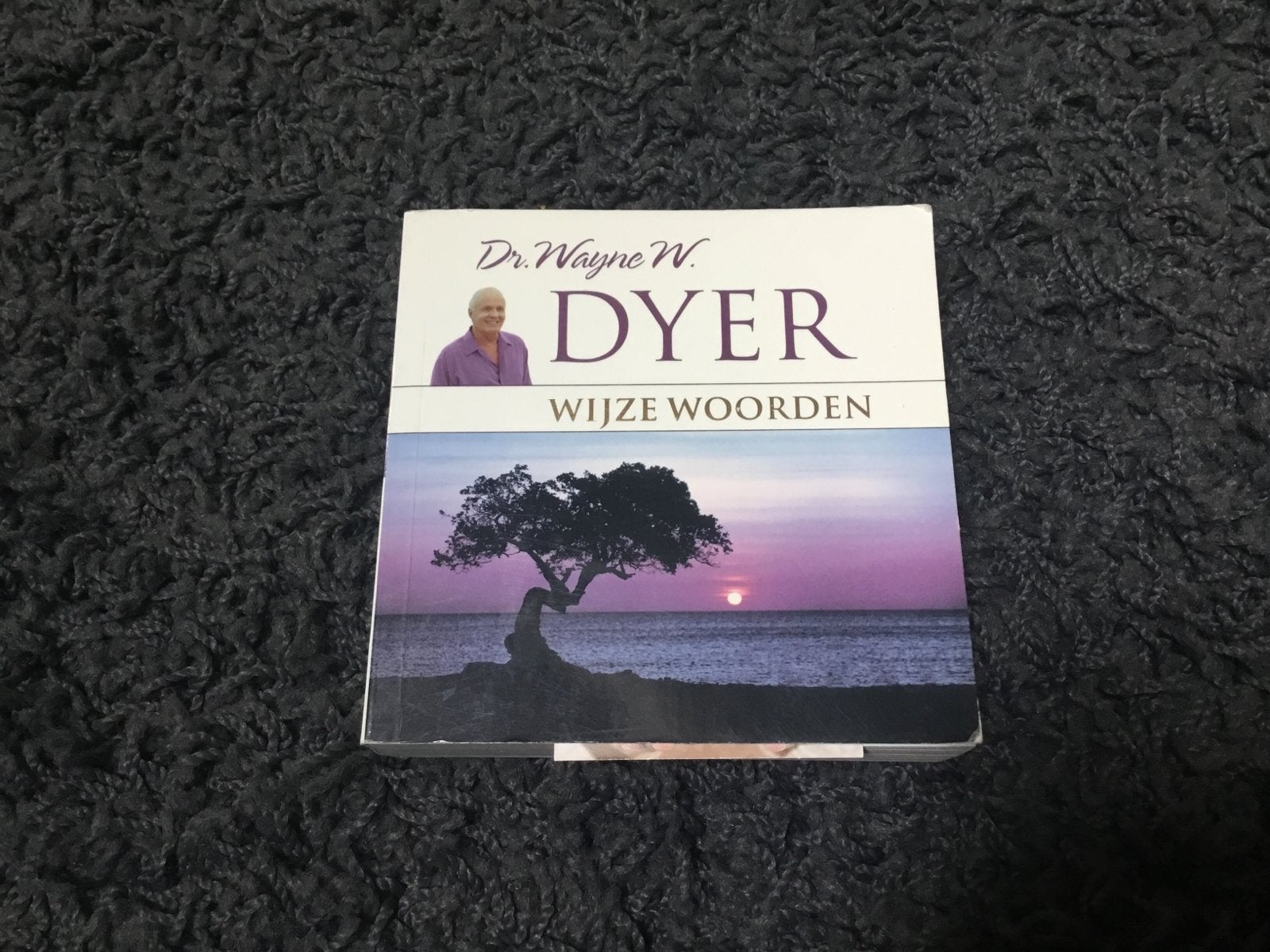 Dr. Wayne W. Dyer - Wijze Woorden, Ophalen of Verzenden, Gelezen, Spiritualiteit algemeen, Achtergrond en Informatie