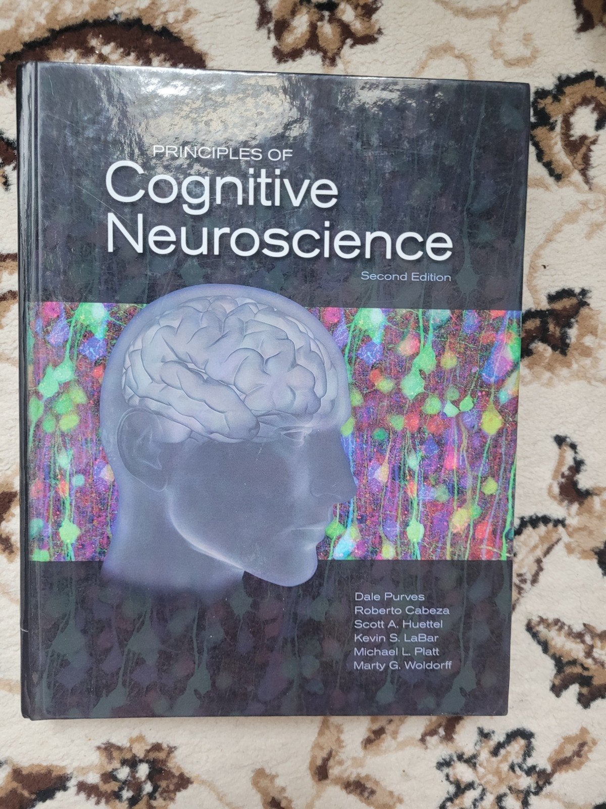 Principles of Cognitive neuroscience book, Ophalen of Verzenden, Beta, Zo goed als nieuw, WO