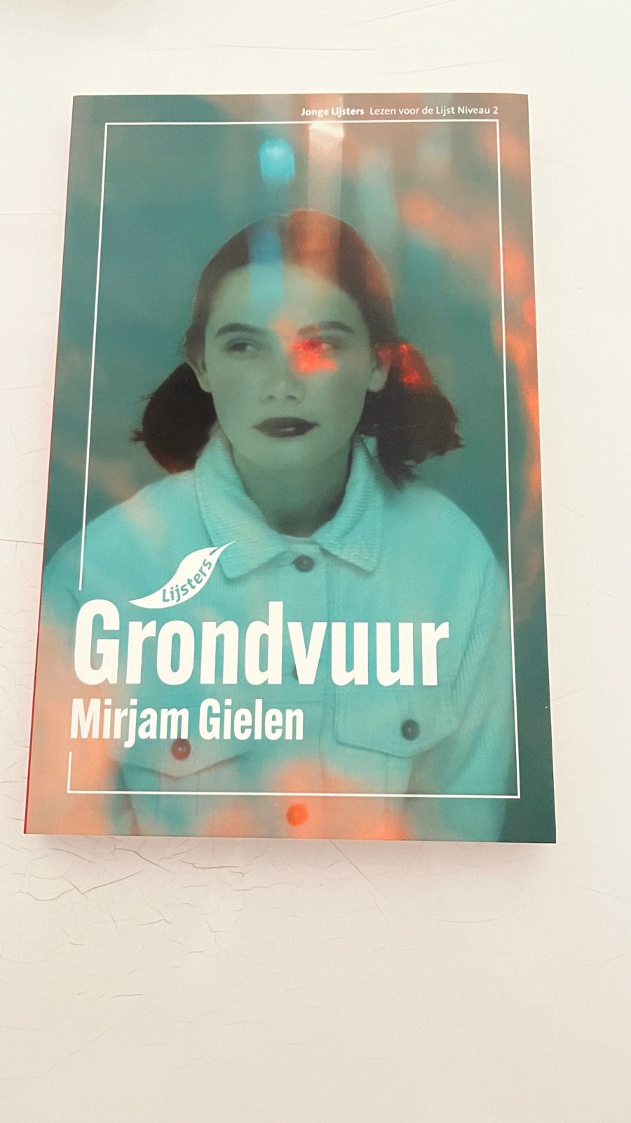 Lijsters boek Niveau 2 - Mirjam Gielen - Zo goed als nieuw, Ophalen of Verzenden, Zo goed als nieuw, Fictie
