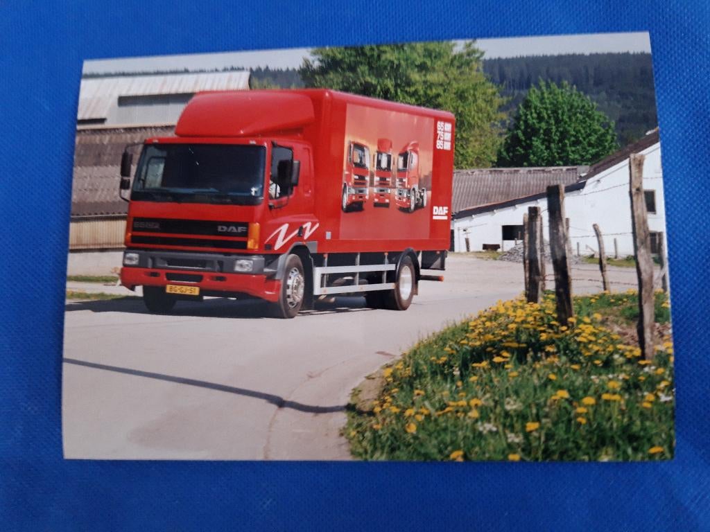 kleurenfoto DAF 65 bakwagen DAF Demo, Ophalen of Verzenden, Zo goed als nieuw, Auto's