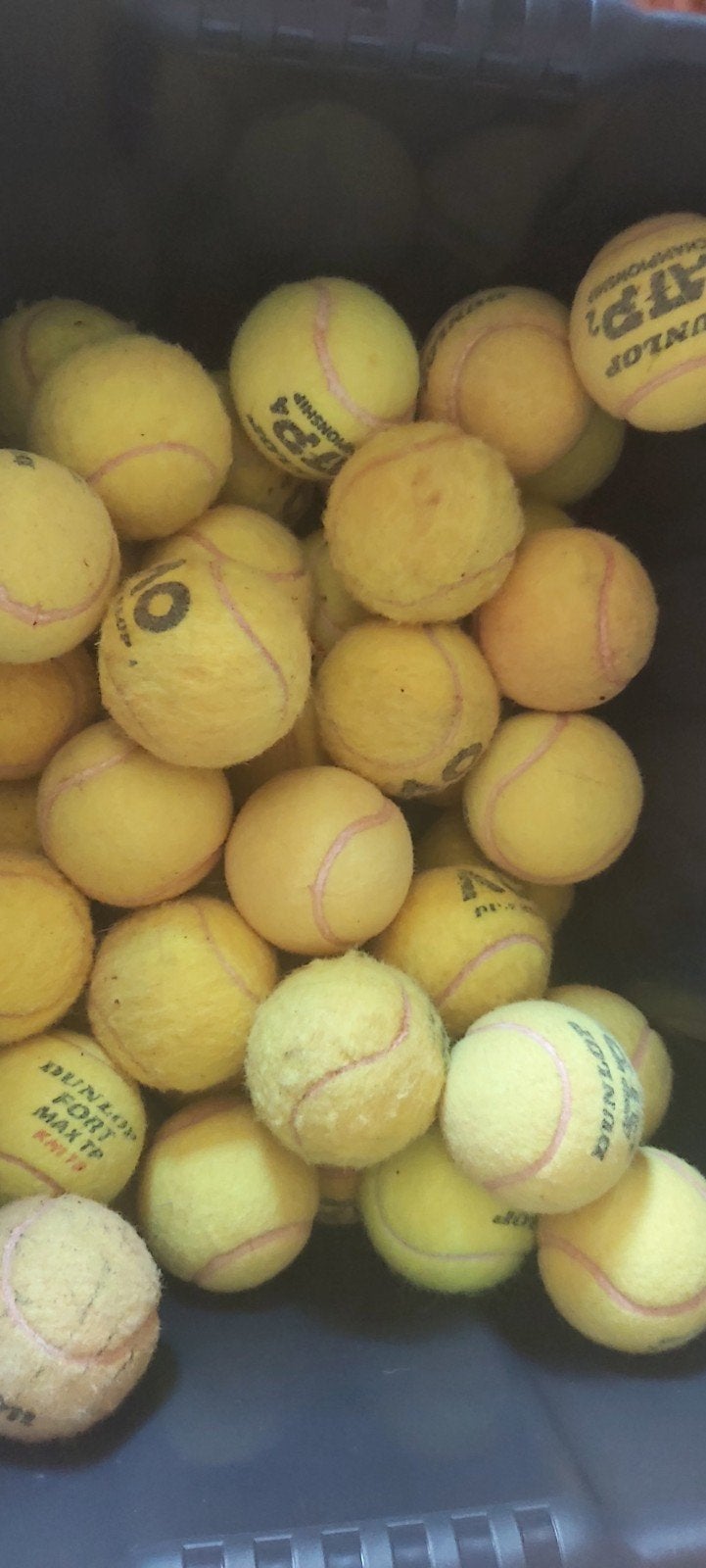 Gebruikte tennisballen voor de hond of poes, Ophalen of Verzenden, Zo goed als nieuw, Apporteerspeelgoed