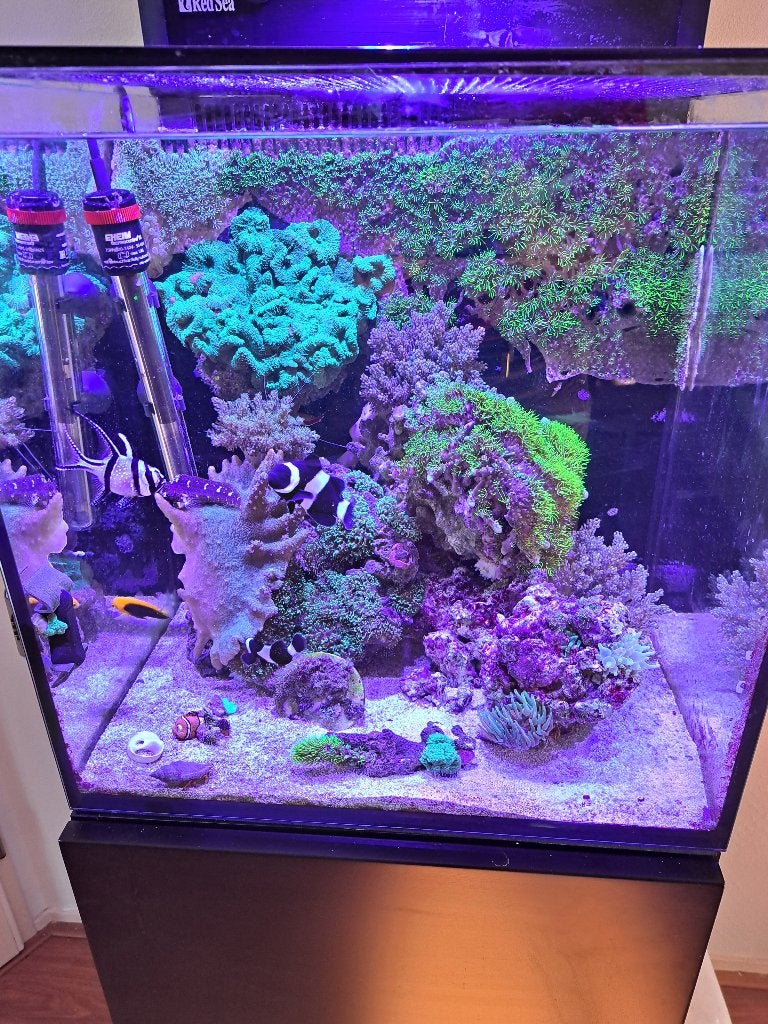 Nano aquarium incl meubel, Ophalen of Verzenden, Gebruikt, Leeg aquarium, Red Sea
