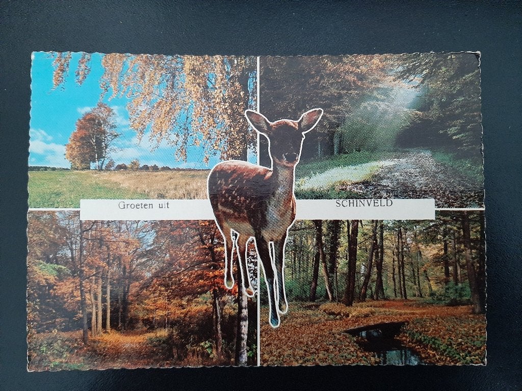 Groeten uit Schinveld, gelopen, 4 luik, in de bossen., Verzamelen, Verzenden, 1960 tot 1980, Gelopen, Natuur
