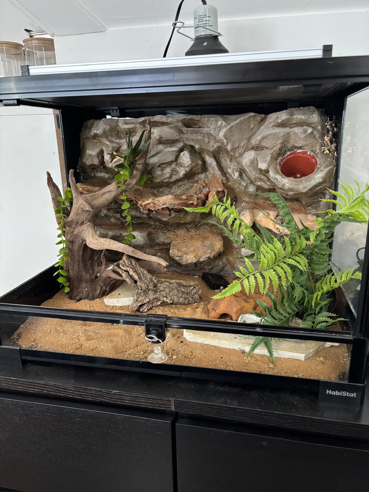 Terrarium te koop, Ophalen, Zo goed als nieuw