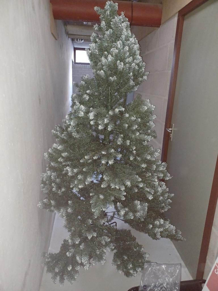 Prachtige kerstboom, Diversen, Ophalen