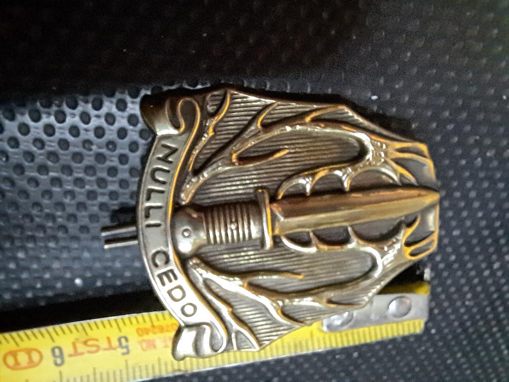 Insigne stoottroepen, Verzamelen, Ophalen of Verzenden, Landmacht, Nederland, Embleem of Badge