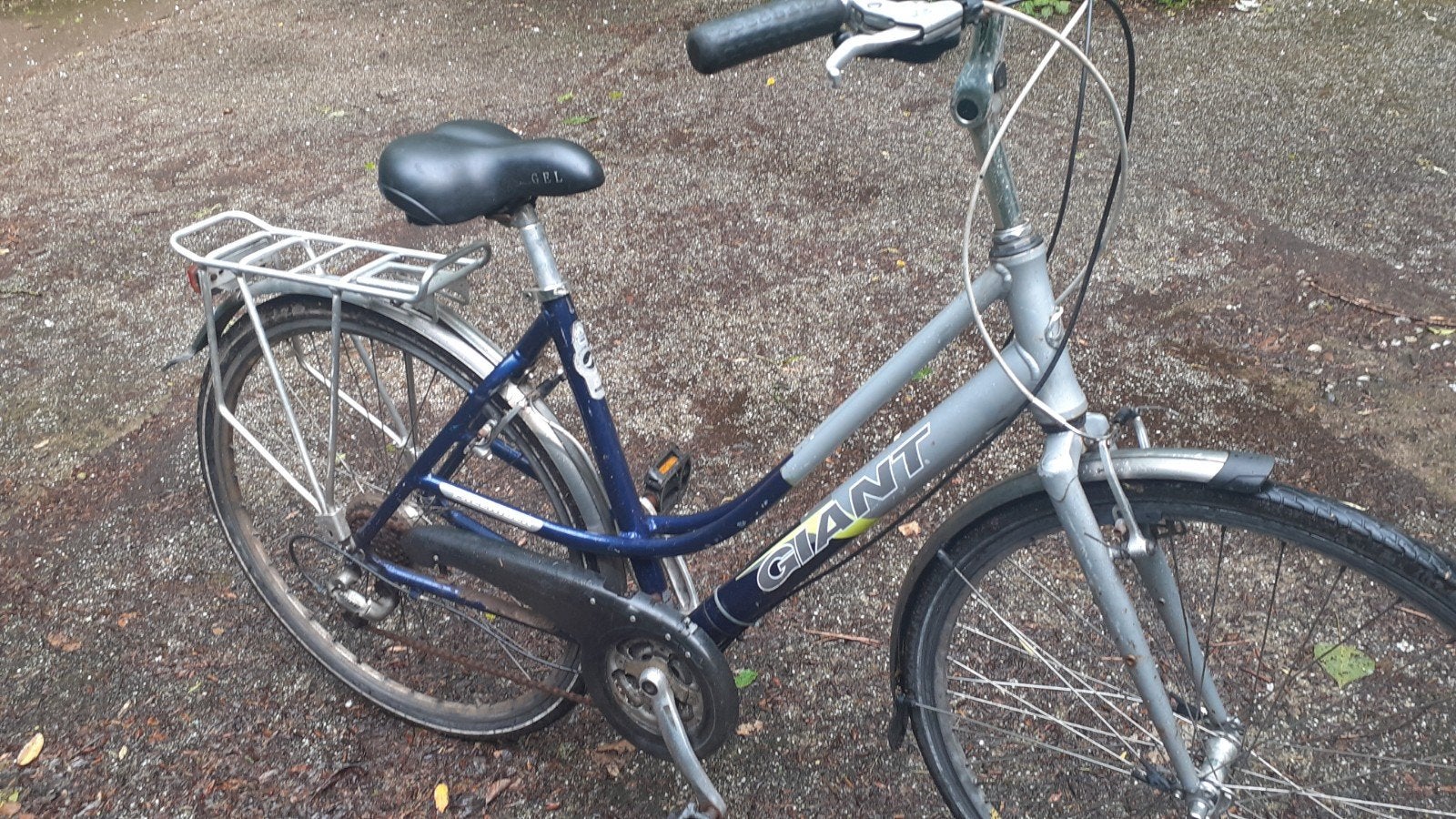 Giant Freerider damesfiets - staat in Westzaan!, Velgrem, Versnellingen, 53 tot 56 cm, Gebruikt