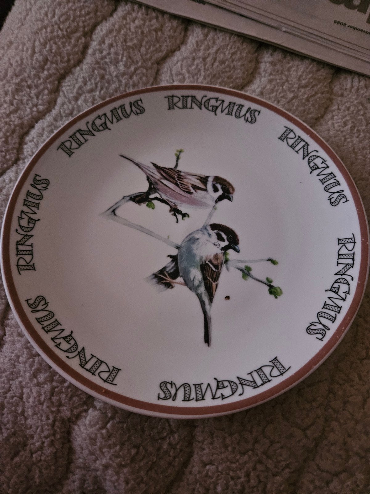 Bord 'Ringmus' - Hollandse Vogels door Elles, Ophalen of Verzenden