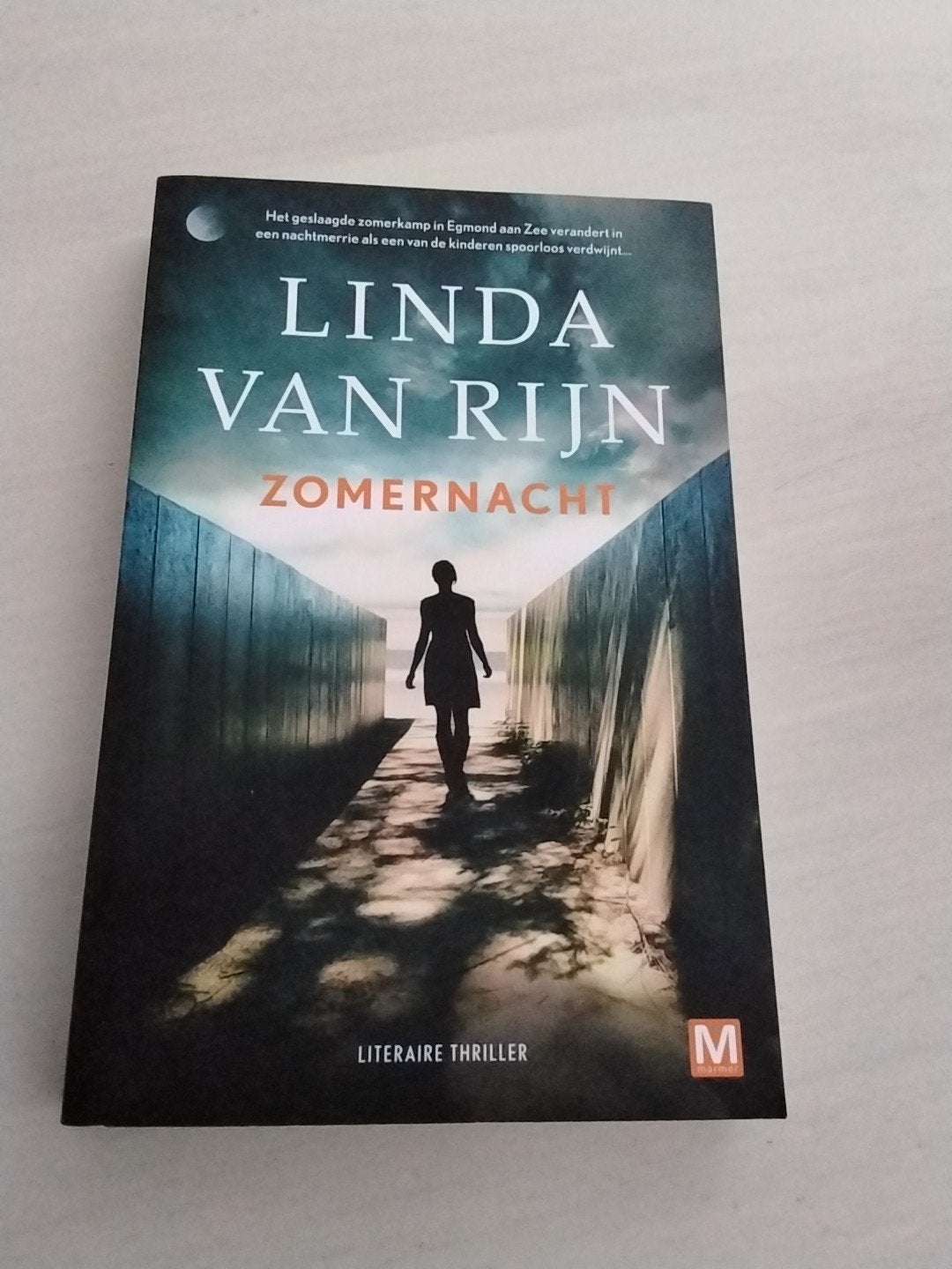 Zomernacht - Linda van Rijn (Literaire thriller), Boeken, Ophalen of Verzenden, Zo goed als nieuw, Linda van Rijn, Nederland
