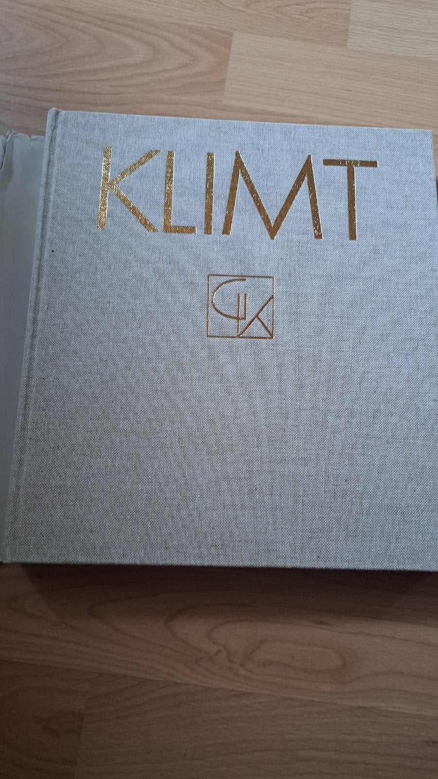 Klimt Leven en werk, Boeken, Ophalen of Verzenden, Zo goed als nieuw
