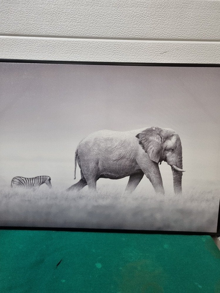 schilderij fotodoek zebra en olifant in zwarte lijst, Ophalen of Verzenden, 'T Olde Gre-j, Info@toldegrej.nl, Endepoelstraat 20f Didam