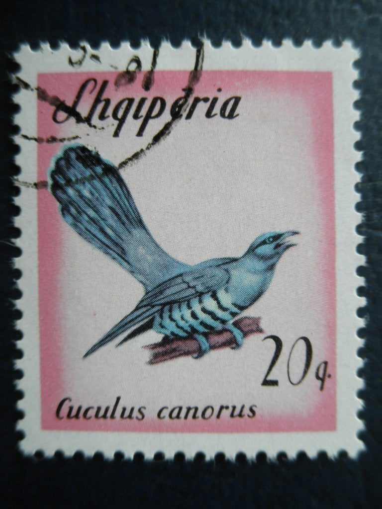 Postzegels Albanië 1965 nr. 974 vogels - cat.w € 0,50., Ophalen of Verzenden, Overige landen, Gestempeld