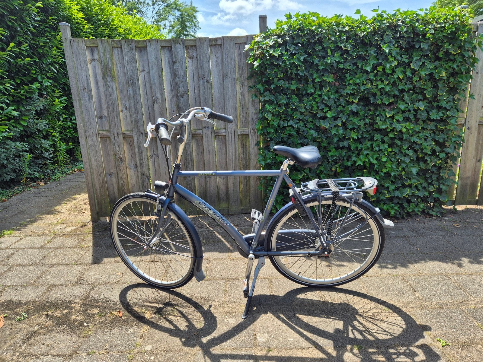 Gazelle Grenoble, Ophalen, Gebruikt, Velgrem, Versnellingen