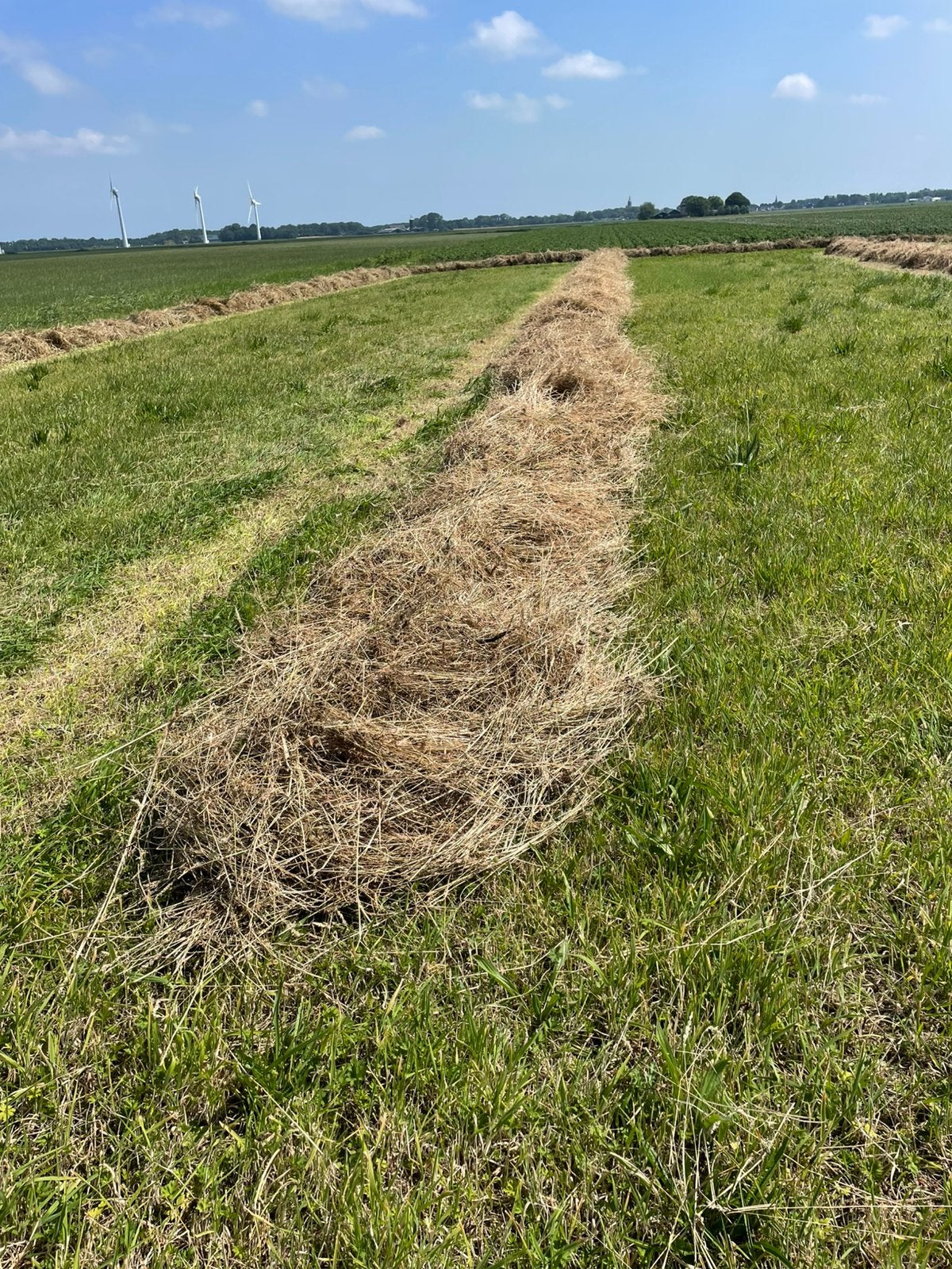 Natuurhooi, Dieren en Toebehoren, Dierenvoeding, Ophalen