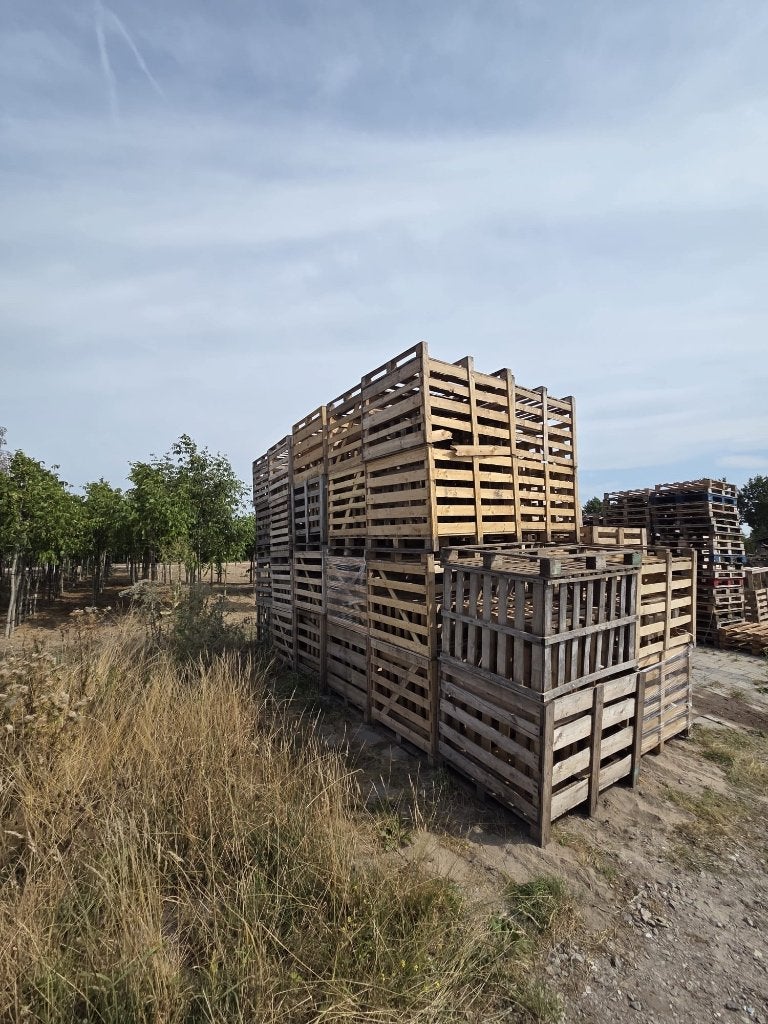 Boxpallet / palletbox / opslagkist 120x100, Ophalen, Gebruikt, 50 mm of meer, Minder dan 200 cm