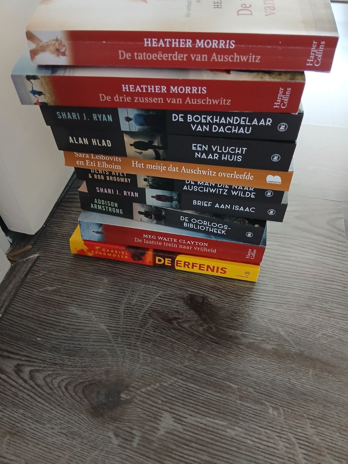 Boekenpakket: Historische Romans over WOII en Auschwitz, Ophalen, Gelezen, Heather Morris, Shari J. Ryan, Alan Hlad, Sara Leibovits e.a.