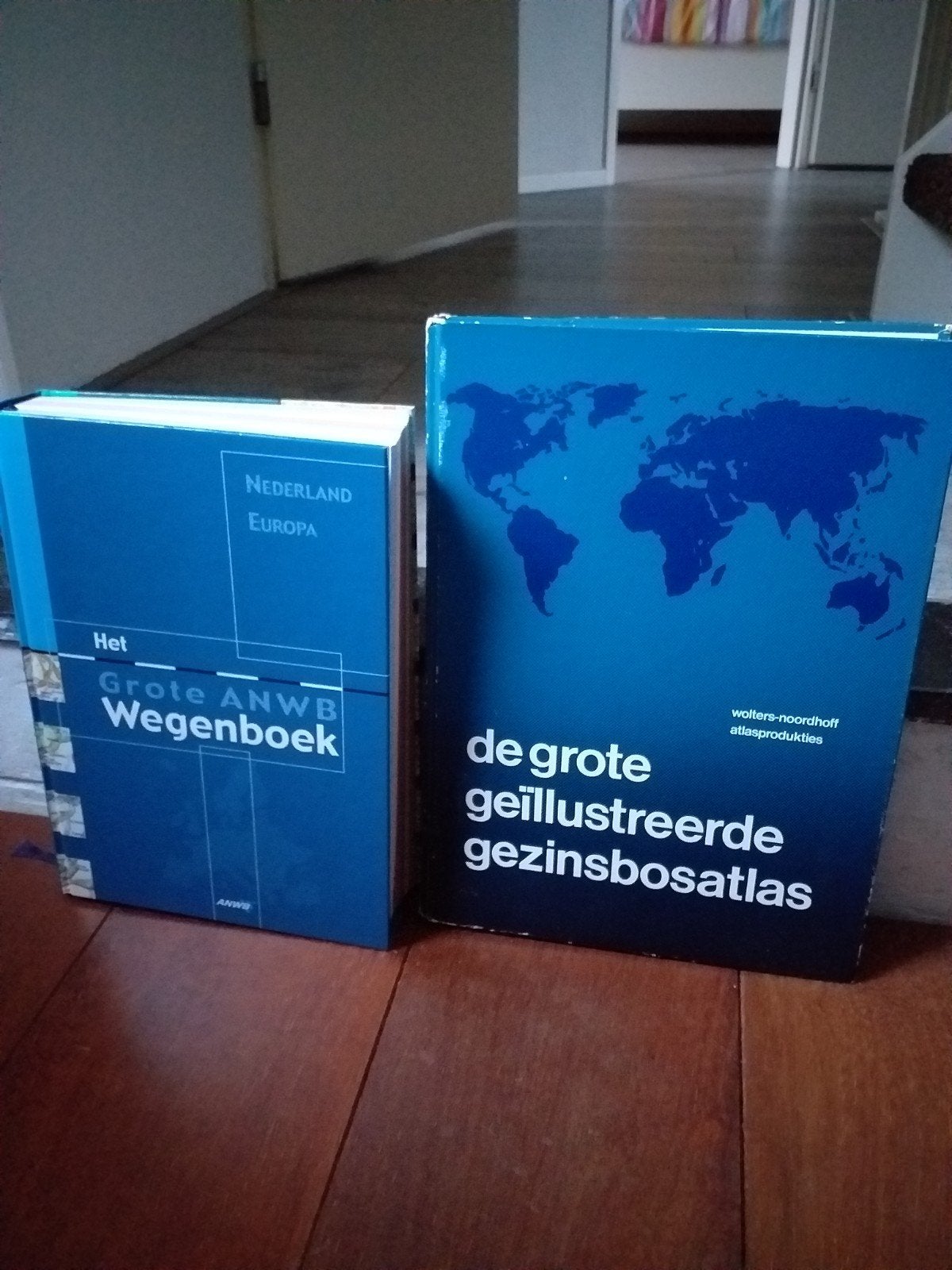 Groot ANWB Wegenboek & Geïllustreerde Gezinsbosatlas, Boeken, Gelezen, Bosatlas, 2000 tot heden, Ophalen of Verzenden