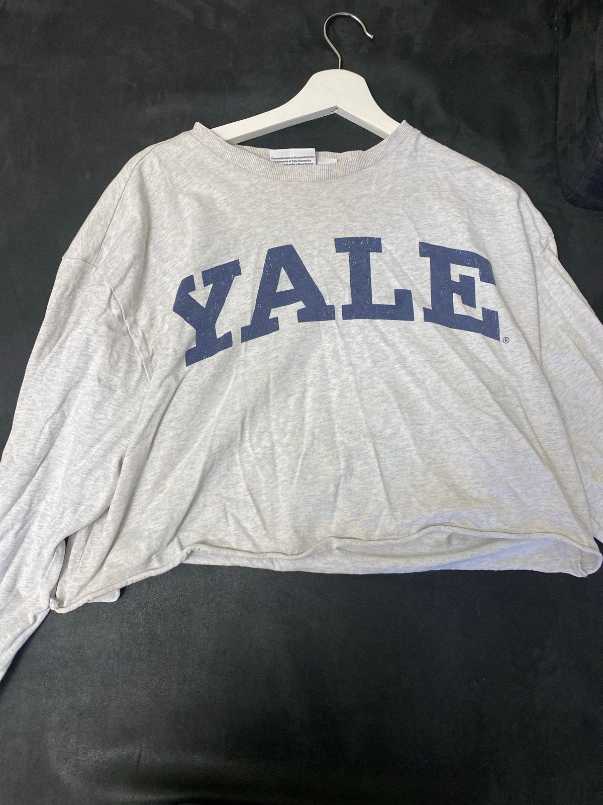 Yale University Cropped Sweater Maat M, Ophalen, Gedragen, Maat 38/40 (M), Grijs