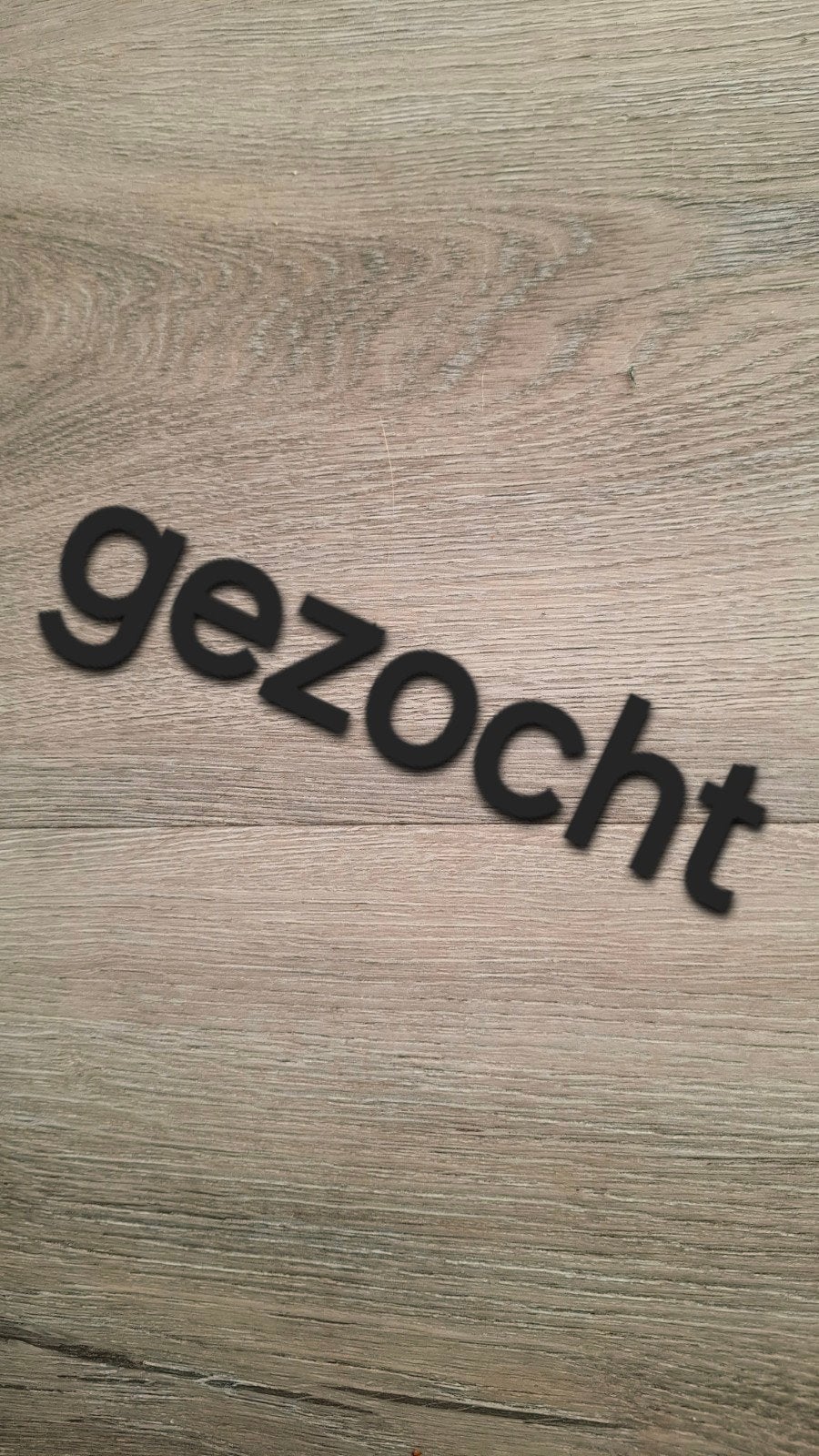 gevraagt / gezocht leuk klein lief hondje, Dieren en Toebehoren, Reu, 1 tot 2 jaar, Eén hond, Nederland