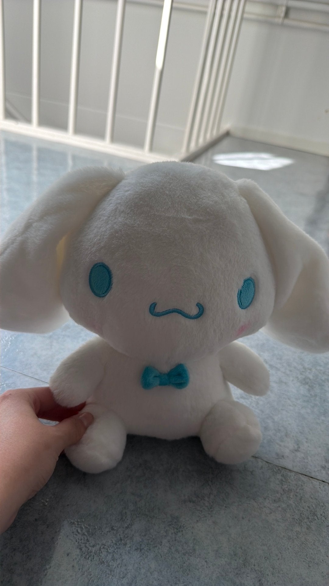 Sanrio Cinnamonroll, Ophalen of Verzenden, Nieuw, Overige typen