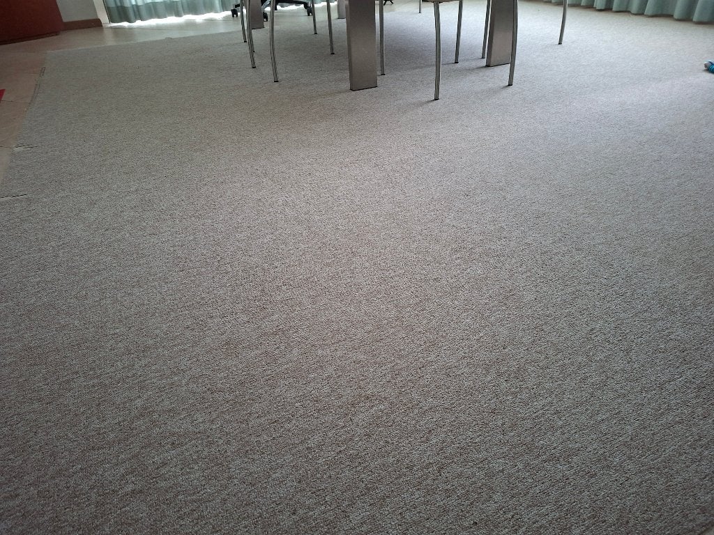 Tapijt voor pup, Ophalen, Gebruikt, 200 cm of meer, 200 cm of meer