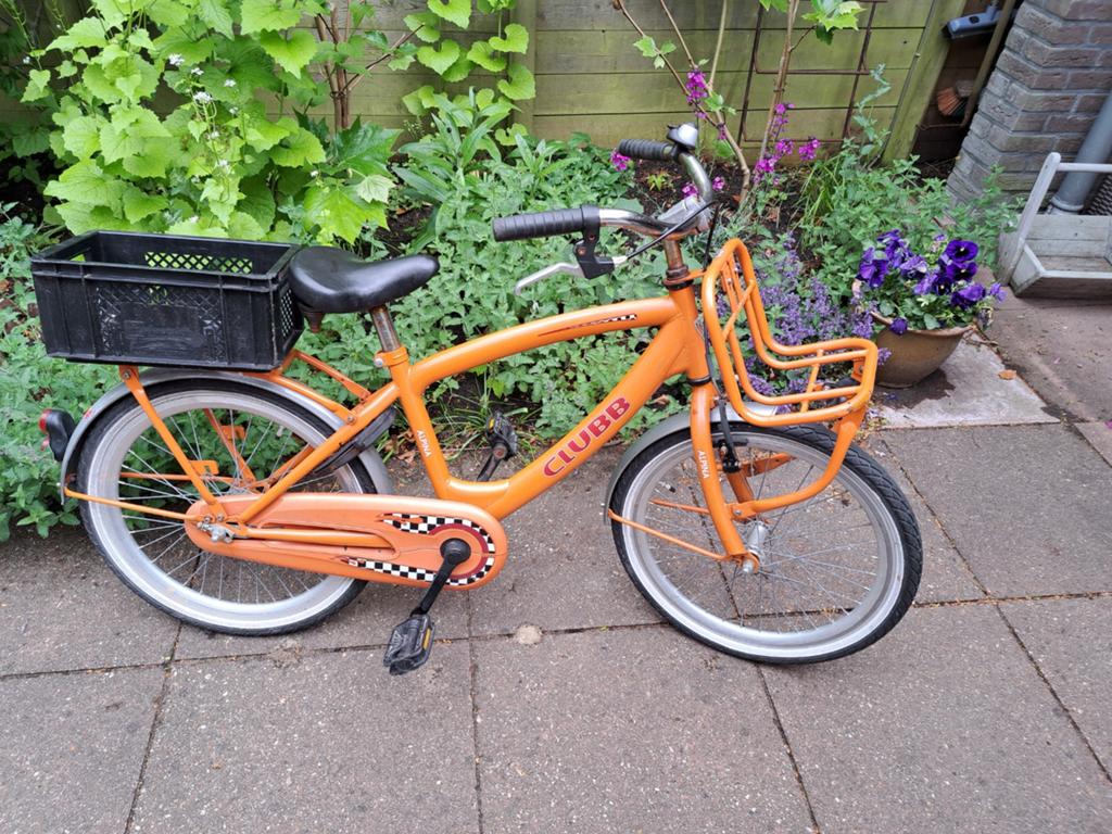 Prima ALPINA Clubb 20 inch transportfiets, in goede staat.., Ophalen, Alpina Clubb, Zo goed als nieuw, Terugtraprem