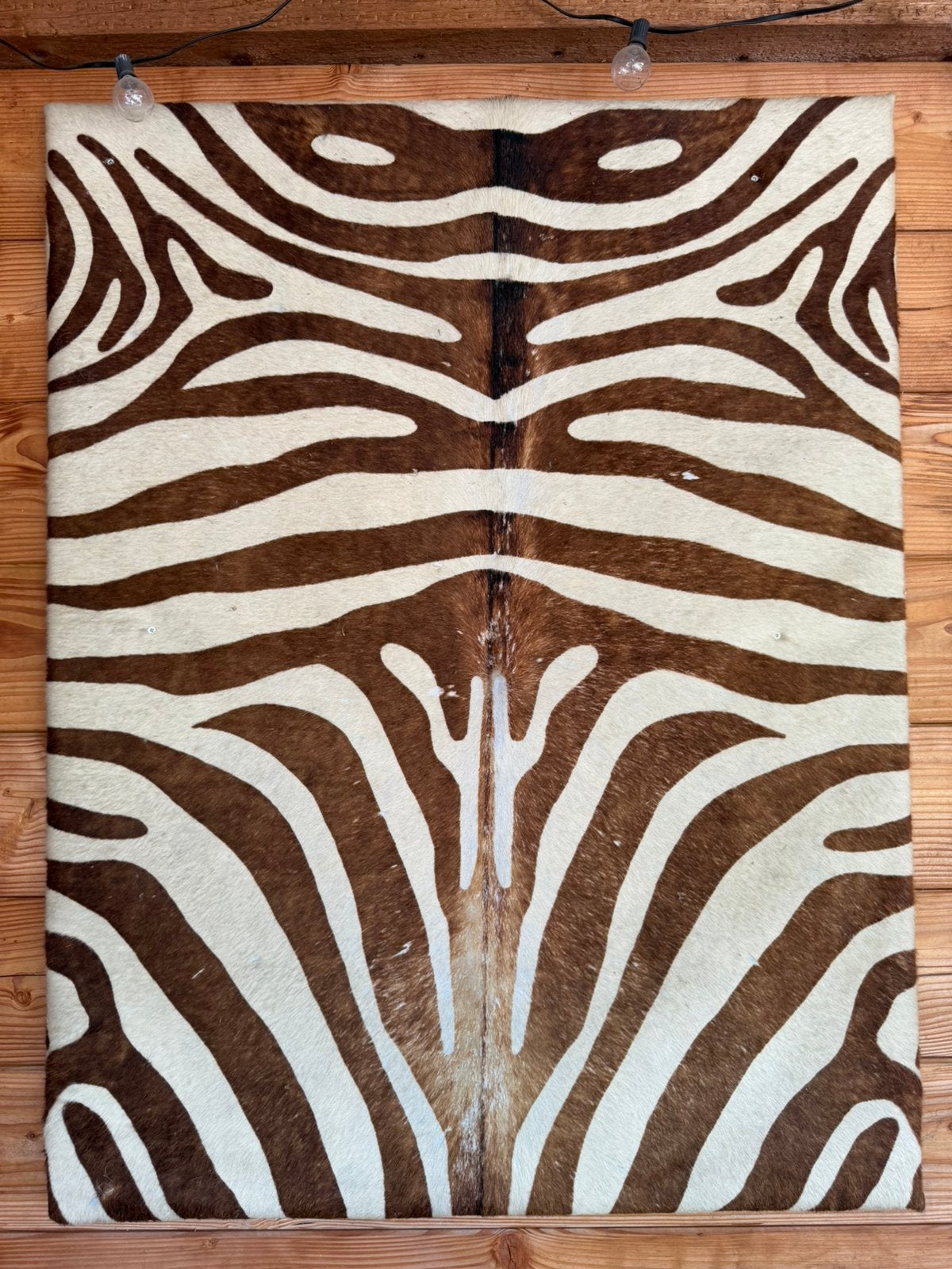 Zebra vel huid opgespannen ca. 90x120, Ophalen, Gebruikt, 120 cm, 90 cm