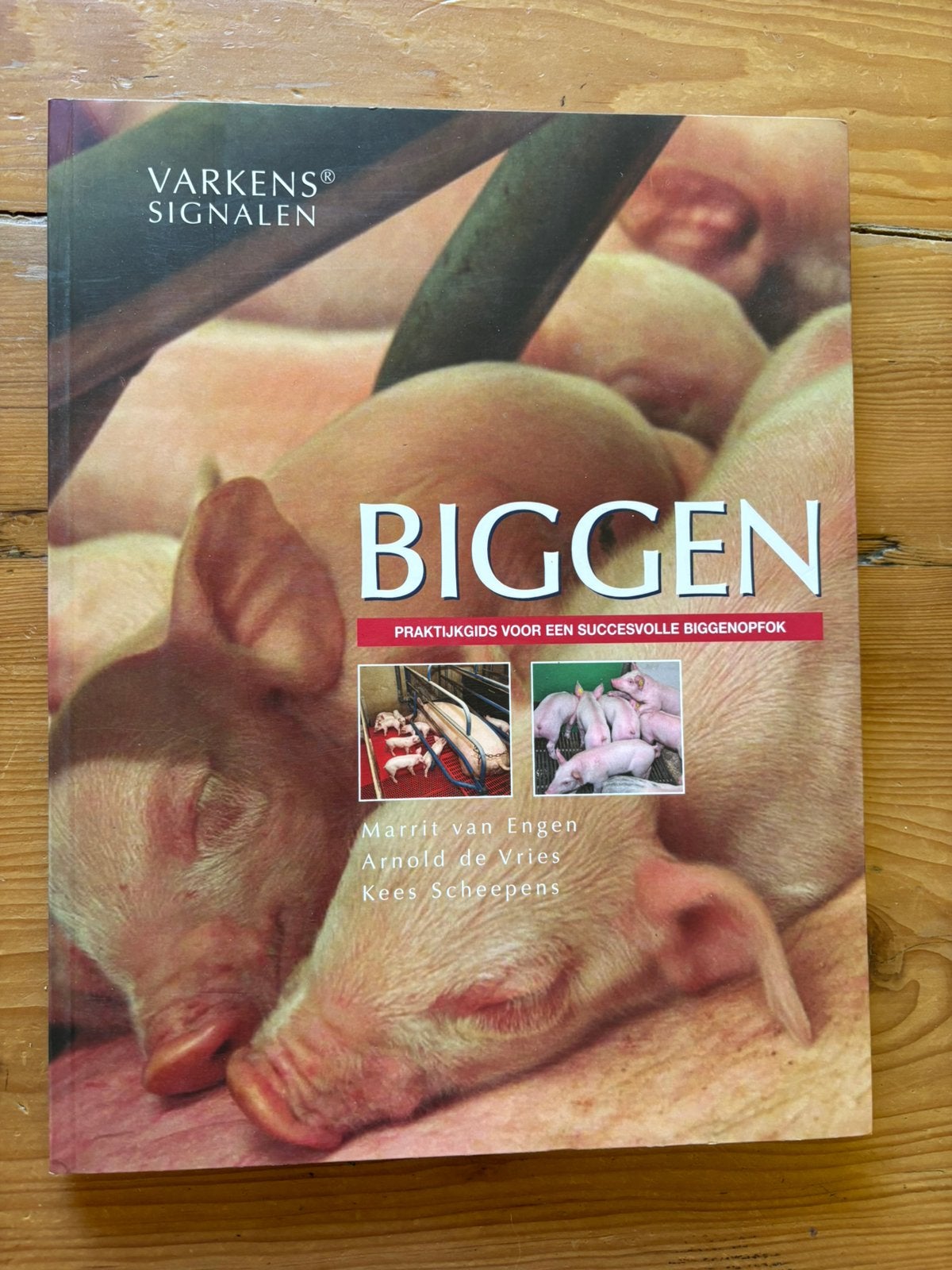 Biggen - varkenssignalen - Marrit van Engen, Ophalen of Verzenden, Zo goed als nieuw