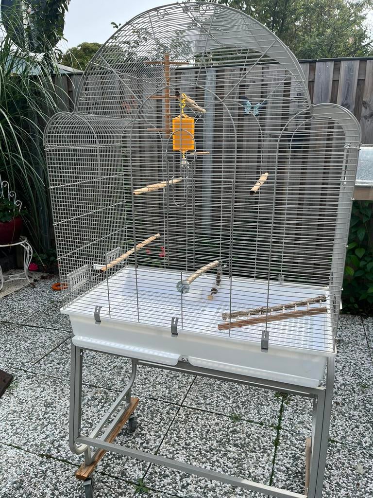 Grote mobiele vogelkooi, Dieren en Toebehoren, Ophalen of Verzenden, Gebruikt, Overige materialen, Vogelkooi