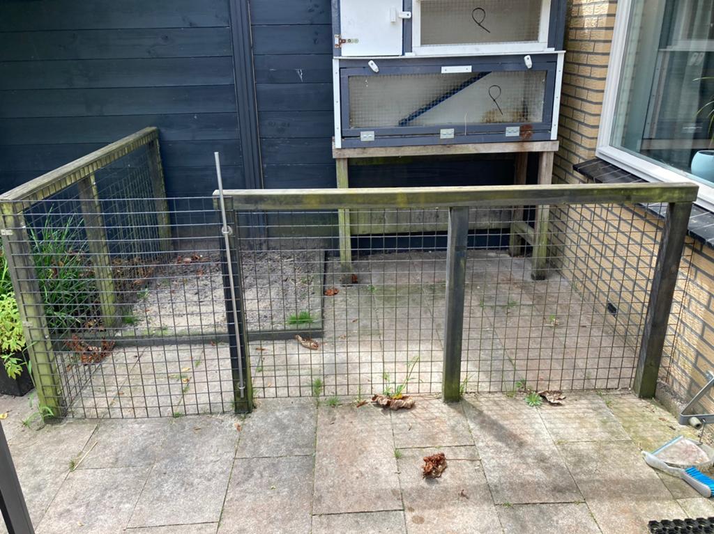 Buitenren, Dieren en Toebehoren, Ophalen, Gebruikt, 110 cm of meer, Ren