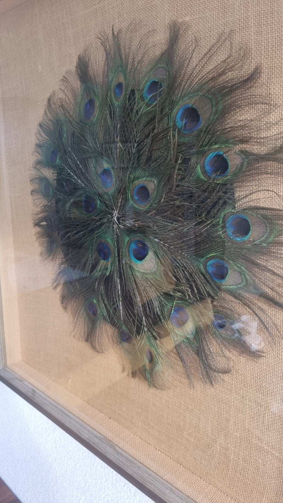 Pauw wanddecoratie, 50 – 75, Oorspronkelijke maker, Overige typen, Ophalen of Verzenden
