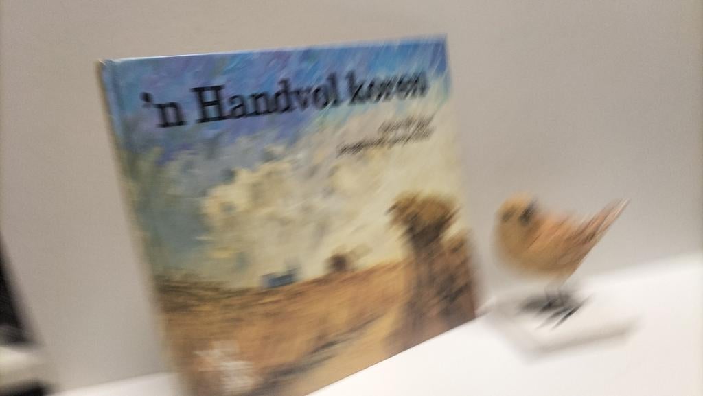 Hell, E van. e.a.;’n Handvol koren (60 jaar jeugdw Ger. Gem), Boeken, Godsdienst en Theologie, Gelezen, Christendom | Protestants