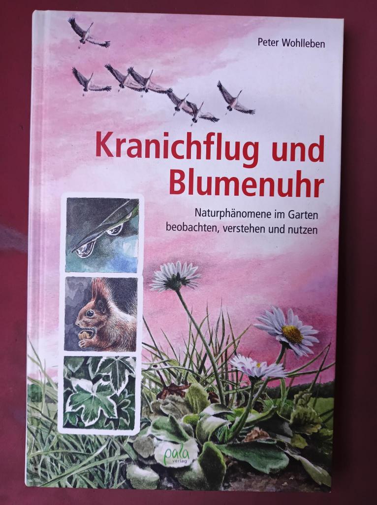 Kranichflug und Blumenuhr, Peter Wohlleben, Boeken, Ophalen of Verzenden, Nieuw, Natuur algemeen, Peter Wohlleben
