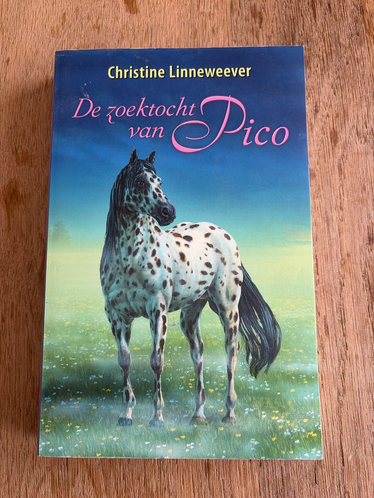 De Zoektocht van Pico - Christine Linneweaver, Ophalen, Zo goed als nieuw, Nederland