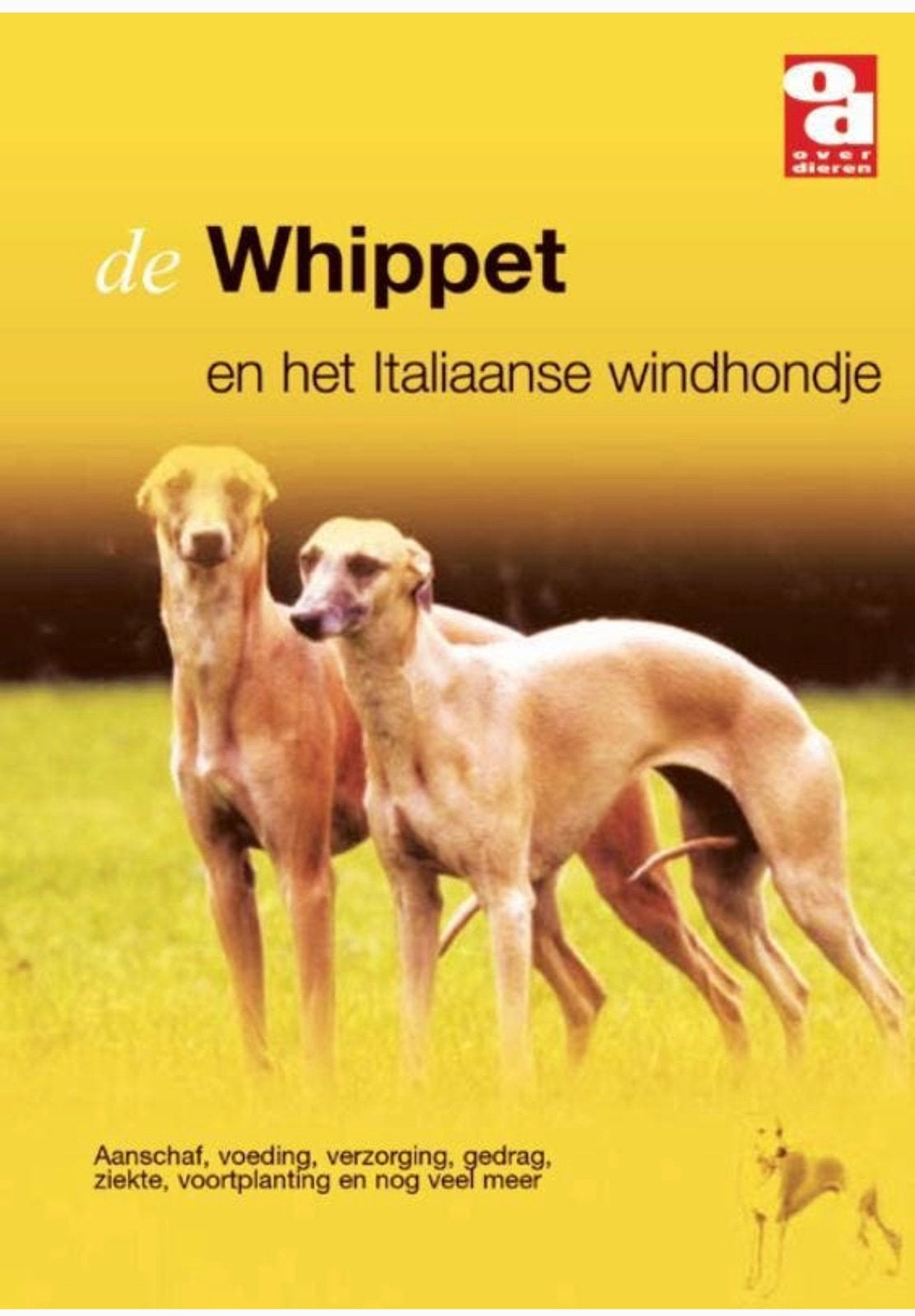 Whippet & Italiaans windhond boekje, Ophalen, Zo goed als nieuw, Paarden of Pony's