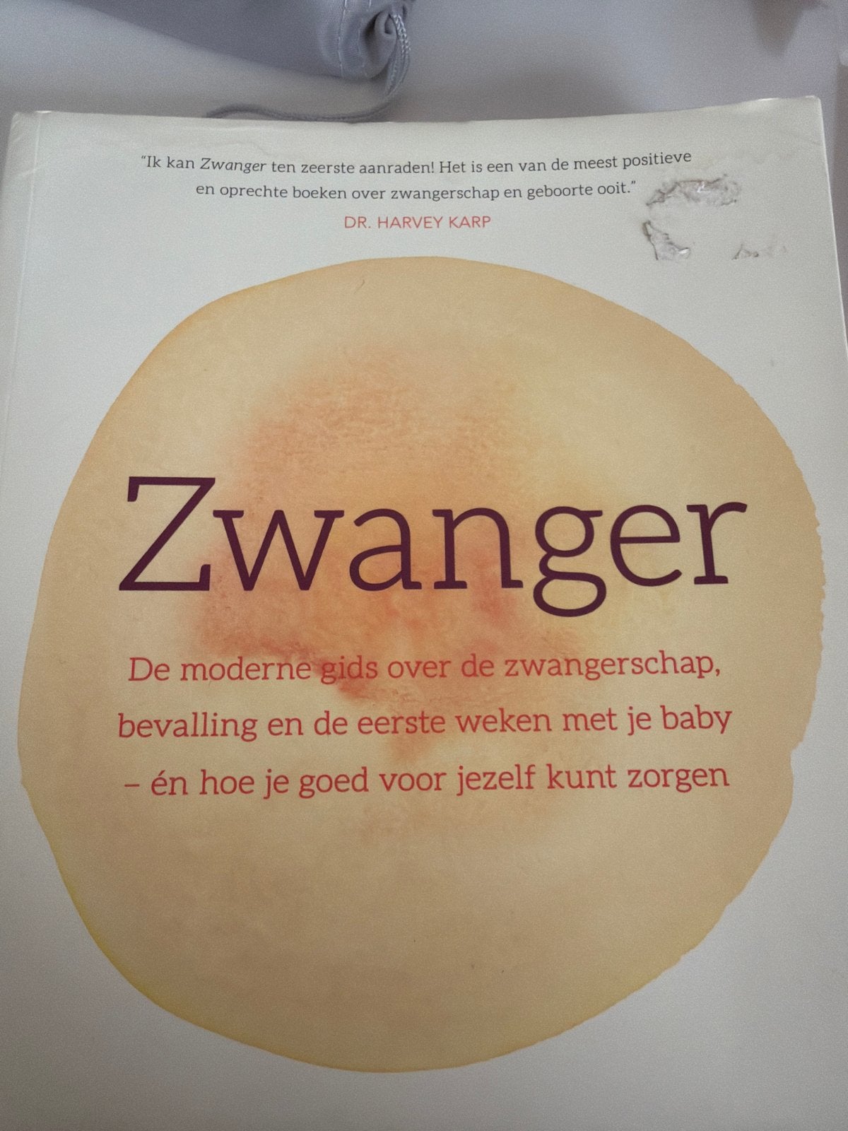 Boek Zwanger: De moderne gids over zwangerschap en bevalling, Boeken, Ophalen, Gelezen, Zwangerschap en Bevalling