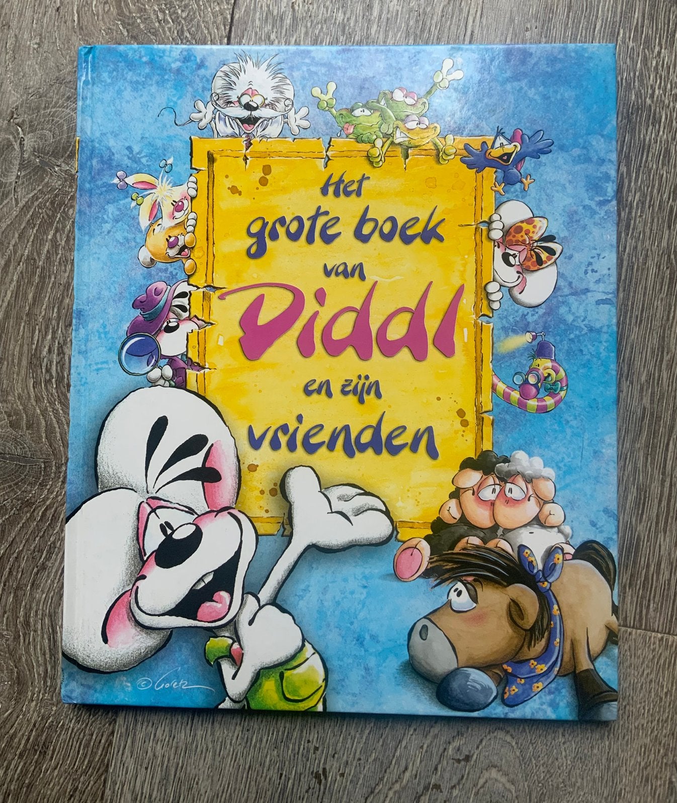 Diddl boek, Ophalen of Verzenden, Verschillende figuren, Zo goed als nieuw, Overige typen