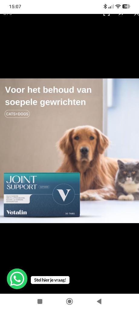 Vetalin joint support voor hond en kat, Dieren en Toebehoren, Dierenvoeding, Overige soorten, Ophalen of Verzenden