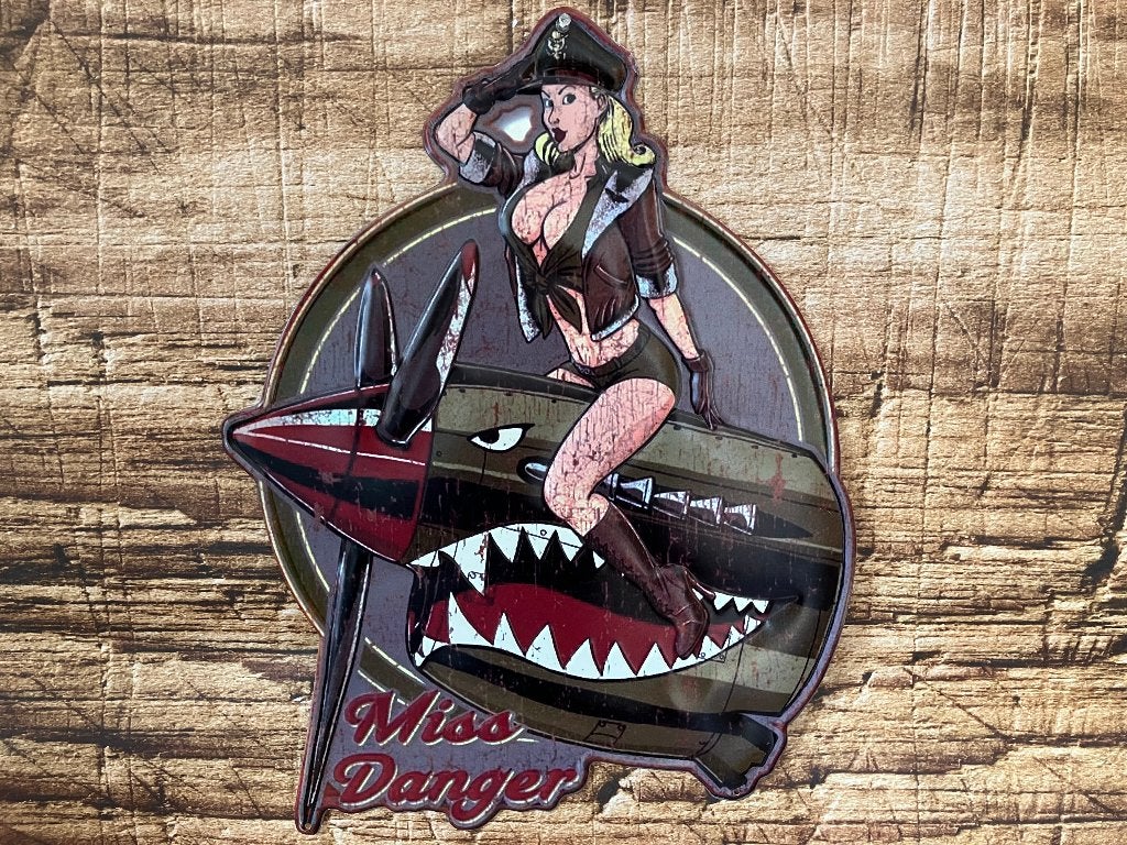 Metalen Wandbord Pin-Up Vliegtuig Miss Danger, Overige typen, Ophalen of Verzenden, Luchtmacht, Nvt