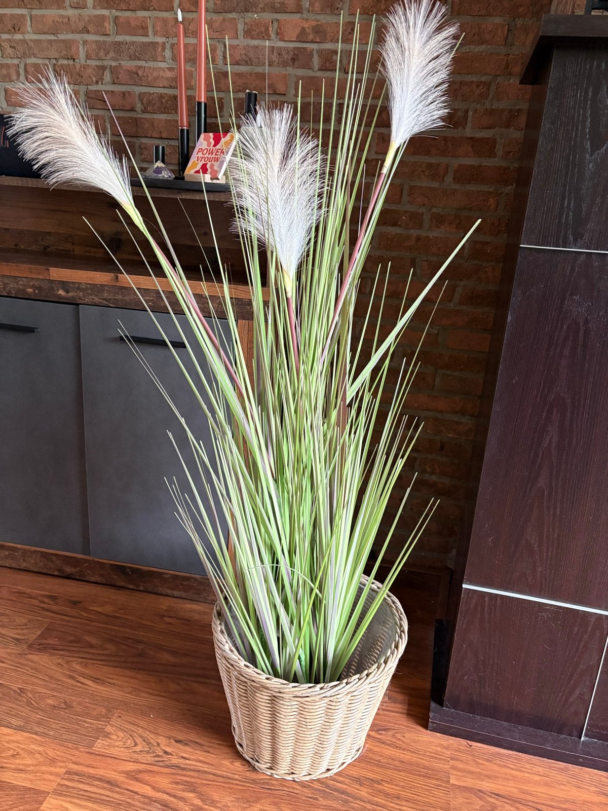 Grote kunstplant met pluimen in rieten mand, Ophalen, Binnen, Groen, Kunstplant
