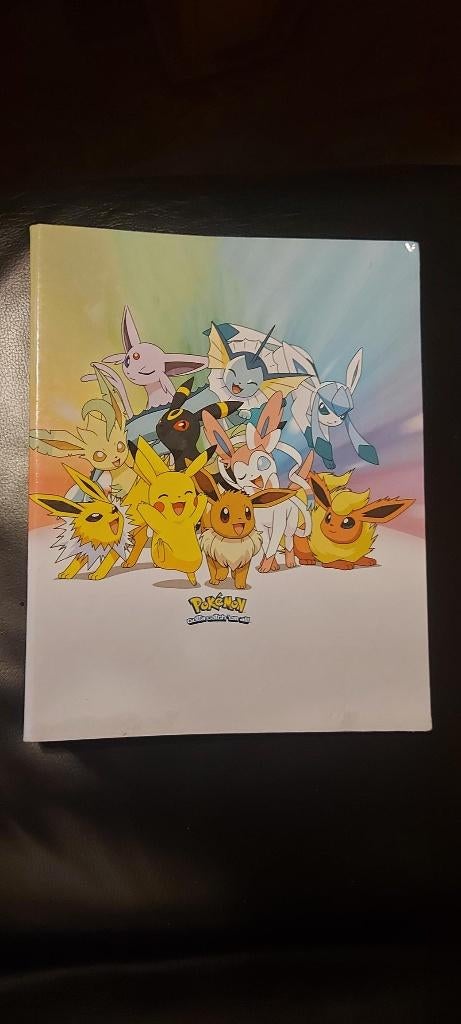 pokemon map voor panini magneten of flippos fraai, Ophalen of Verzenden, Zo goed als nieuw, Overige typen