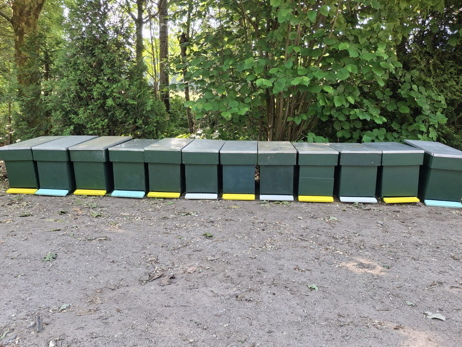Golz bijenkasten, Ophalen